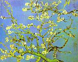 Vincent van Gogh Branches of Almond tree in Bloom painting